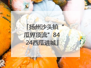 扬州沙头镇“瓜界顶流”8424西瓜进城
