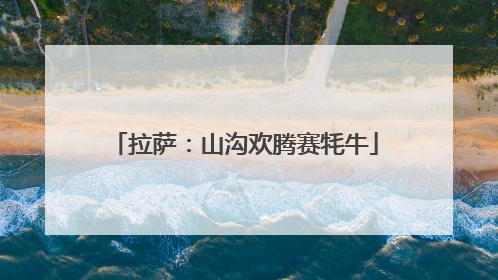拉萨：山沟欢腾赛牦牛