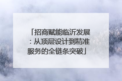招商赋能临沂发展：从顶层设计到精准服务的全链条突破
