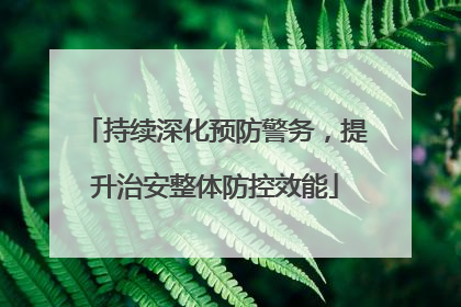 持续深化预防警务，提升治安整体防控效能