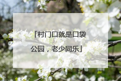 村门口就是口袋公园，老少同乐