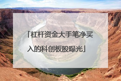 杠杆资金大手笔净买入的科创板股曝光