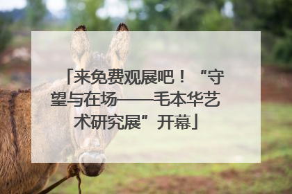 来免费观展吧！“守望与在场——毛本华艺术研究展”开幕