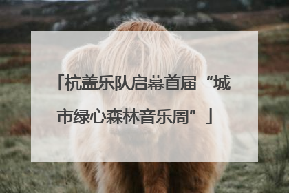 杭盖乐队启幕首届“城市绿心森林音乐周”
