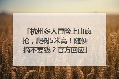 杭州多人冒险上山疯抢，爬树5米高！随便摘不要钱？官方回应