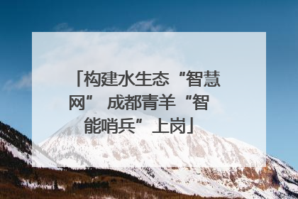 构建水生态“智慧网” 成都青羊“智能哨兵”上岗