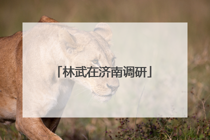 林武在济南调研