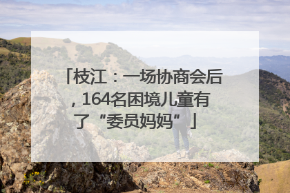 枝江：一场协商会后，164名困境儿童有了“委员妈妈”