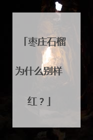 枣庄石榴为什么别样红？