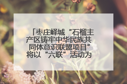 枣庄峄城“石榴主产区铸牢中华民族共同体意识联盟项目”将以“六联”活动为抓手深化品牌建设