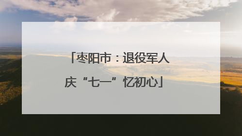 枣阳市：退役军人庆“七一”忆初心