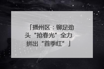 播州区：铆足劲头“抢春光”全力拼出“首季红”
