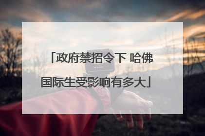 政府禁招令下 哈佛国际生受影响有多大
