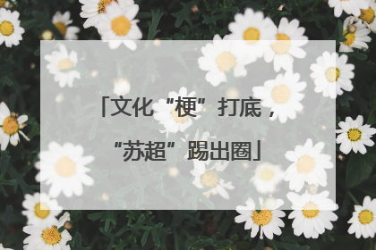 文化“梗”打底，“苏超”踢出圈