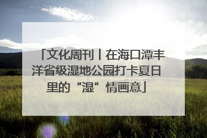 文化周刊丨在海口潭丰洋省级湿地公园打卡夏日里的“湿”情画意