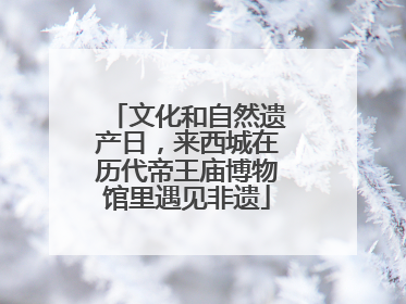 文化和自然遗产日，来西城在历代帝王庙博物馆里遇见非遗