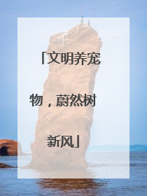文明养宠物，蔚然树新风