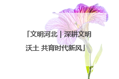 文明河北｜深耕文明沃土 共育时代新风
