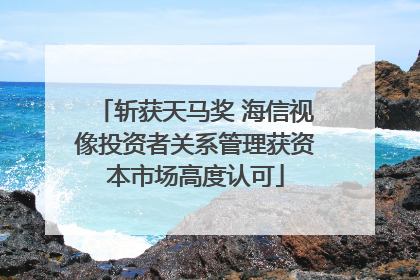斩获天马奖 海信视像投资者关系管理获资本市场高度认可