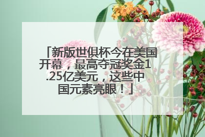 新版世俱杯今在美国开幕，最高夺冠奖金1.25亿美元，这些中国元素亮眼！
