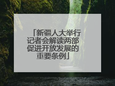 新疆人大举行记者会解读两部促进开放发展的重要条例