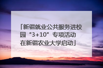 新疆就业公共服务进校园“3+10”专项活动在新疆农业大学启动