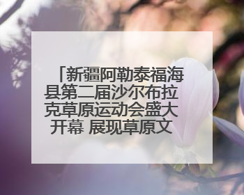 新疆阿勒泰福海县第二届沙尔布拉克草原运动会盛大开幕 展现草原文化魅力