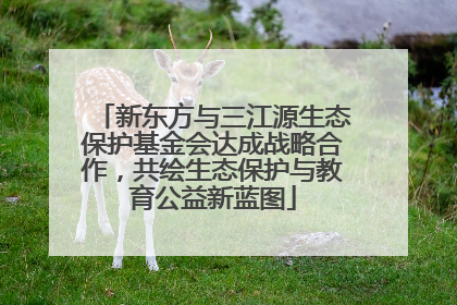 新东方与三江源生态保护基金会达成战略合作，共绘生态保护与教育公益新蓝图