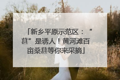 新乡平原示范区：“葚”是诱人！黄河滩百亩桑葚等你来采摘