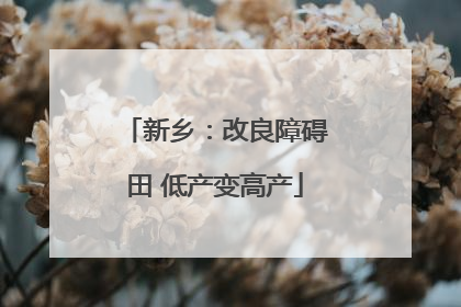 新乡:改良障碍田 低产变高产