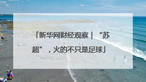 新华网财经观察｜“苏超”，火的不只是足球