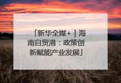 新华全媒+｜海南自贸港：政策创新赋能产业发展