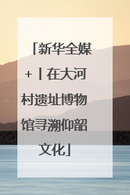 新华全媒+丨在大河村遗址博物馆寻溯仰韶文化