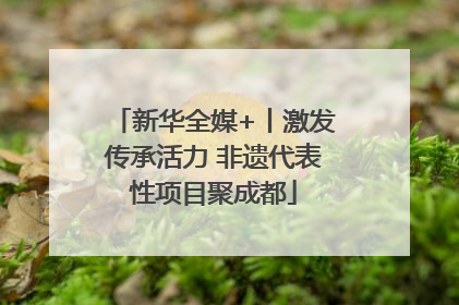 新华全媒+丨激发传承活力 非遗代表性项目聚成都
