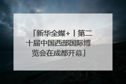 新华全媒+丨第二十届中国西部国际博览会在成都开幕