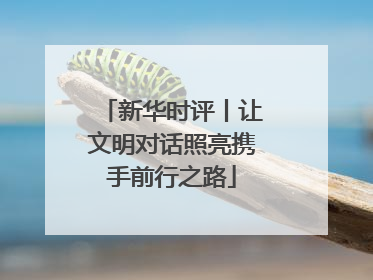 新华时评丨让文明对话照亮携手前行之路