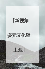 新视角 多元文化壁上观
