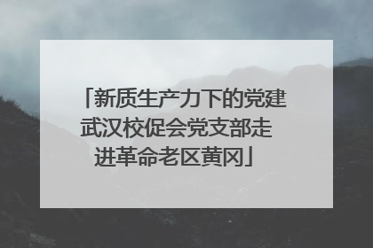 新质生产力下的党建 武汉校促会党支部走进革命老区黄冈