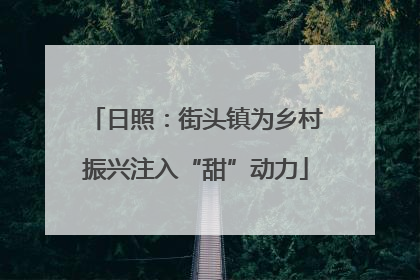 日照：街头镇为乡村振兴注入“甜”动力
