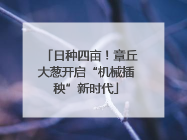 日种四亩！章丘大葱开启“机械插秧”新时代