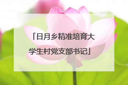 日月乡精准培育大学生村党支部书记