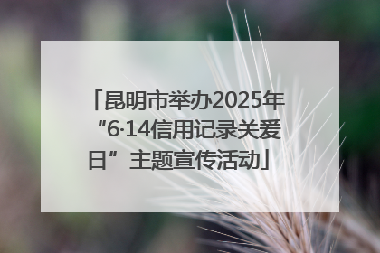 昆明市举办2025年“6·14信用记录关爱日”主题宣传活动