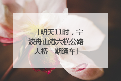 明天11时，宁波舟山港六横公路大桥一期通车