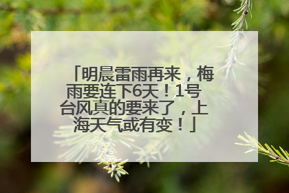 明晨雷雨再来，梅雨要连下6天！1号台风真的要来了，上海天气或有变！