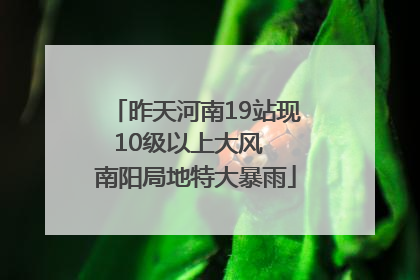 昨天河南19站现10级以上大风  南阳局地特大暴雨