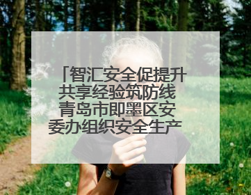 智汇安全促提升 共享经验筑防线 青岛市即墨区安委办组织安全生产共享专家现场观摩学习活动