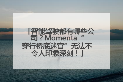 智能驾驶都有哪些公司？Momenta“穿行桥底迷宫”无法不令人印象深刻！