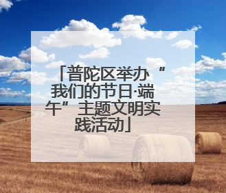 普陀区举办“我们的节日·端午”主题文明实践活动