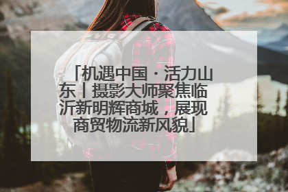 机遇中国・活力山东丨摄影大师聚焦临沂新明辉商城，展现商贸物流新风貌
