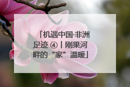 机遇中国·非洲足迹 ④丨刚果河畔的“家”温暖